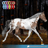 Horse Color:White Spotted Bay Dun Tobiano Rabicano 