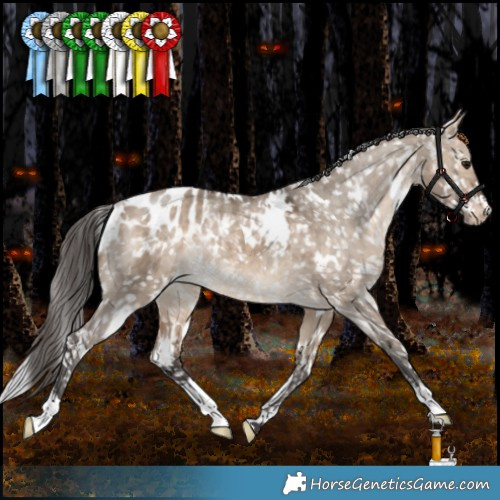 Horse Color:White Spotted Bay Dun Appaloosa Rabicano 