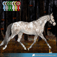 Horse Color:White Spotted Bay Dun Appaloosa Rabicano 