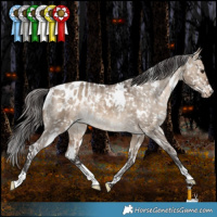 Horse Color:White Spotted Bay Dun Appaloosa Rabicano 