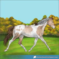 Horse Color:Brown Snowdrop Pearl Dun Tobiano Blanket Rabicano 