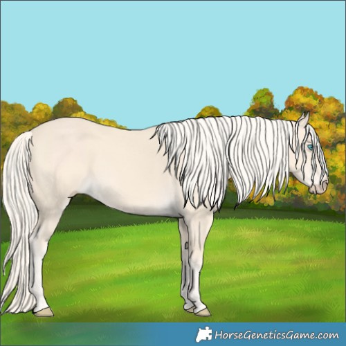 Horse Color:Cremello 