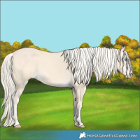 Horse Color:Cremello 