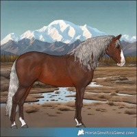 Horse Color:Silver Brown Splash 