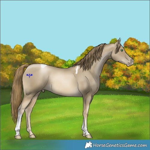 Horse Color:Smoky Black Pearl Tobiano 