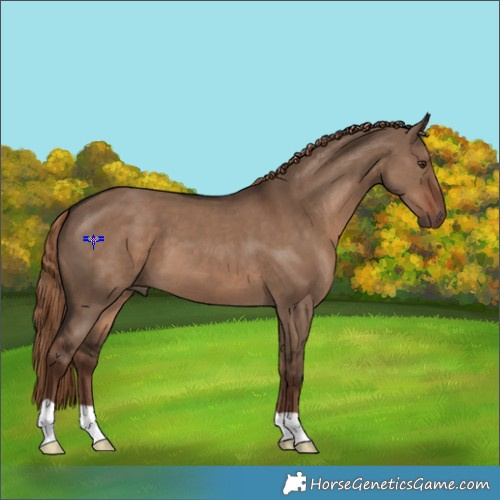 Horse Color:Liver Red Dun 