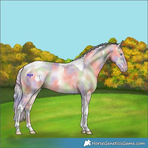 Horse Color:Nacre Silver Perlino Tobiano 