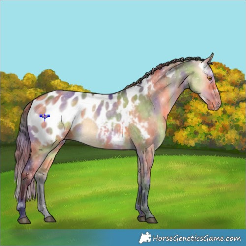 Horse Color:Nacre Buckskin Dun Near Leopard 