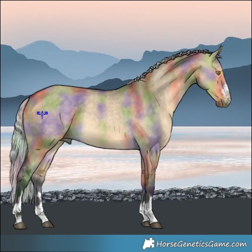 Horse Color:Nacre Silver Buckskin Dun 
