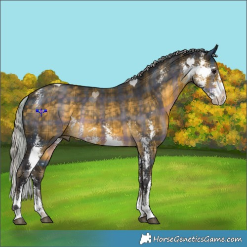 Horse Color:Plaid  Silver Buckskin Sabino 