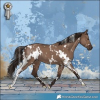 Horse Color:White Spotted Liver Red Dun