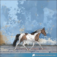 Horse Color:Brown Dun Tobiano 