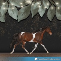 Horse Color:Liver Chestnut Tobiano 