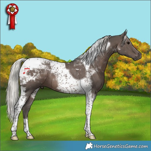 Horse Color:Silver Black Tobiano 
