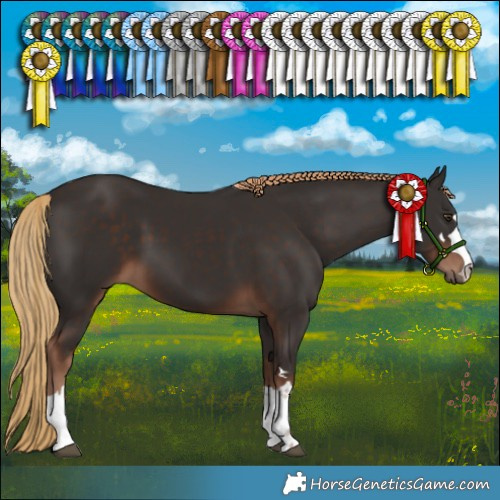 Horse Color:Liver Chestnut 
