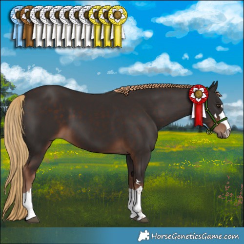 Horse Color:Liver Chestnut 