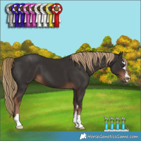 Horse Color:Liver Chestnut 