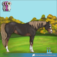 Horse Color:Liver Chestnut 