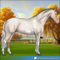 Horse Color:Silver Blue Roan Pearl Tobiano Frame 
