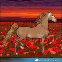 Horse Color:Gray Red Dun