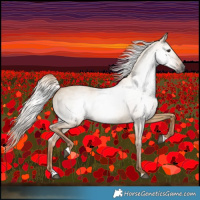 Horse Color:Gray Red Dun 