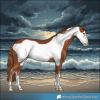 Horse Color:Chestnut Frame 