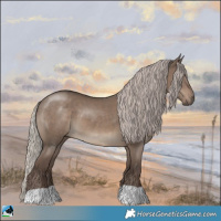 Horse Color:Silver Grullo 