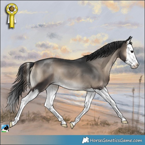 Horse Color:Blue Onyx Splash 