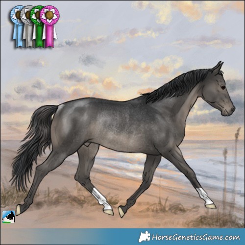 Horse Color:Black Rabicano 