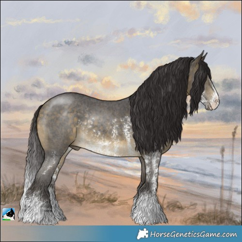 Horse Color:Buckskin Sabino Rabicano 