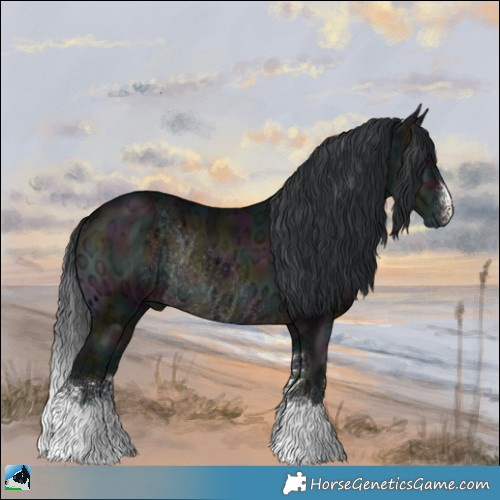 Horse Color:Midnight Brown Ice Onyx Sabino Rabicano 
