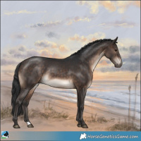 Horse Color:Brown Rabicano 