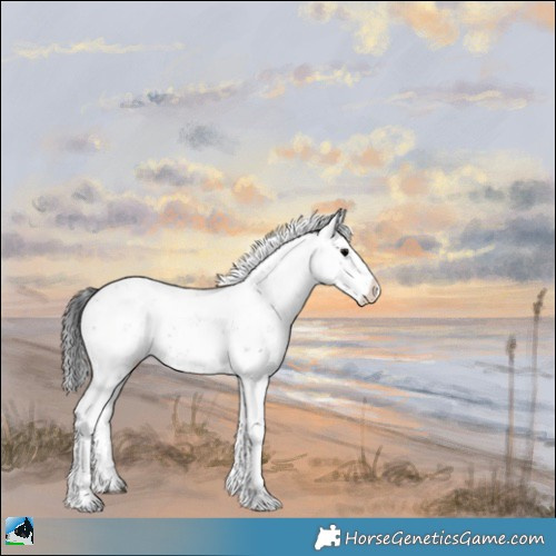 Horse Color:Midnight Brown Onyx Sabino Rabicano 