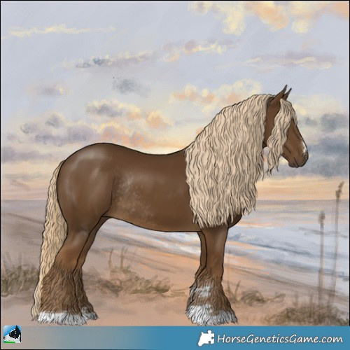 Horse Color:Chocolate Palomino Rabicano