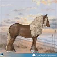 Horse Color:Chocolate Palomino Rabicano 