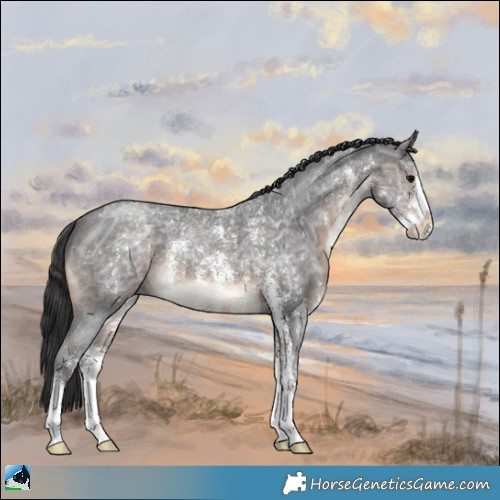 Horse Color:Brown Ice Sabino