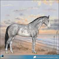 Horse Color:Brown Ice Sabino 