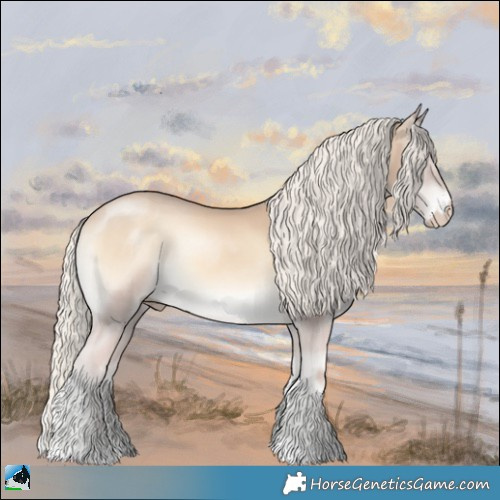 Horse Color:Cremello Onyx 