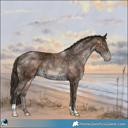 Horse Color:Sable Champagne Ice 
