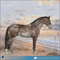 Horse Color:Sable Champagne Ice 