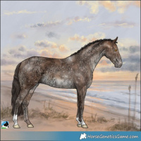 Horse Color:Sable Champagne Ice 