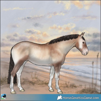Horse Color:Sable Champagne Onyx Rabicano 