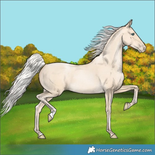 Horse Color:Silver Sable Cream Champagne Pearl 