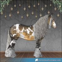 Horse Color:White Spotted Silver Buckskin
