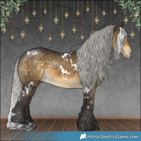 Horse Color:White Spotted Silver Buckskin