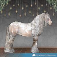 Horse Color:White Spotted Chocolate Palomino 