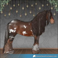 Horse Color:White Spotted Liver Chestnut 