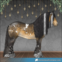 Horse Color:White Spotted Buckskin 