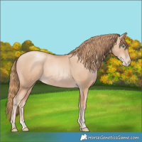 Horse Color:Gold Champagne Pearl Rabicano  and Gold Champagne Pearl Rabicano 