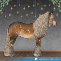 Horse Color:White Spotted Chocolate Palomino